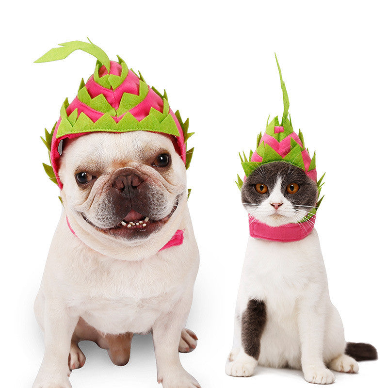 dragon fruit pet hat