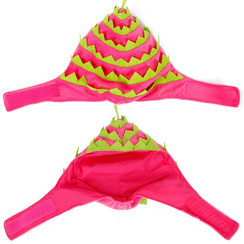 dragon fruit pet hat