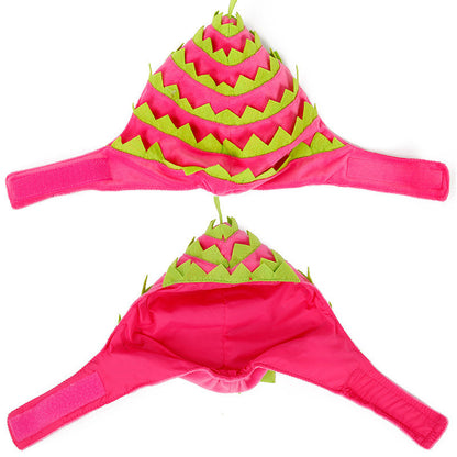 dragon fruit pet hat