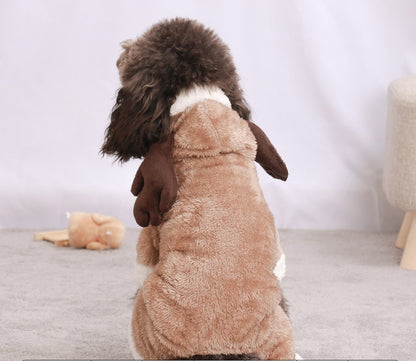 dog autumn winter costumes