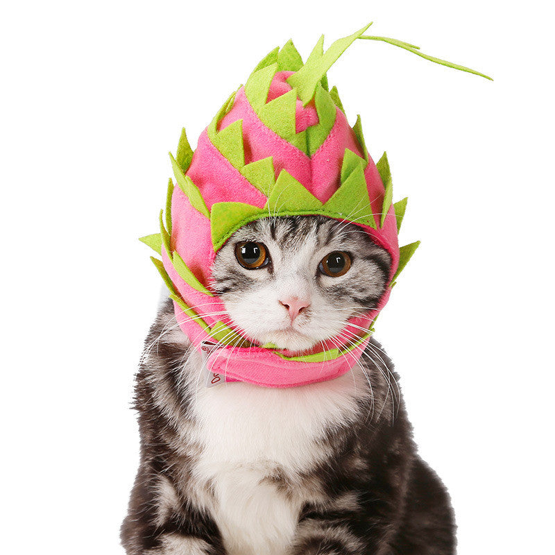 dragon fruit pet hat