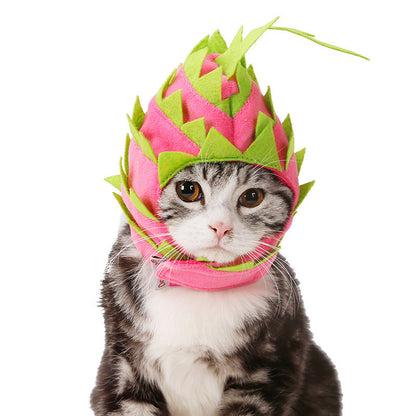 dragon fruit pet hat